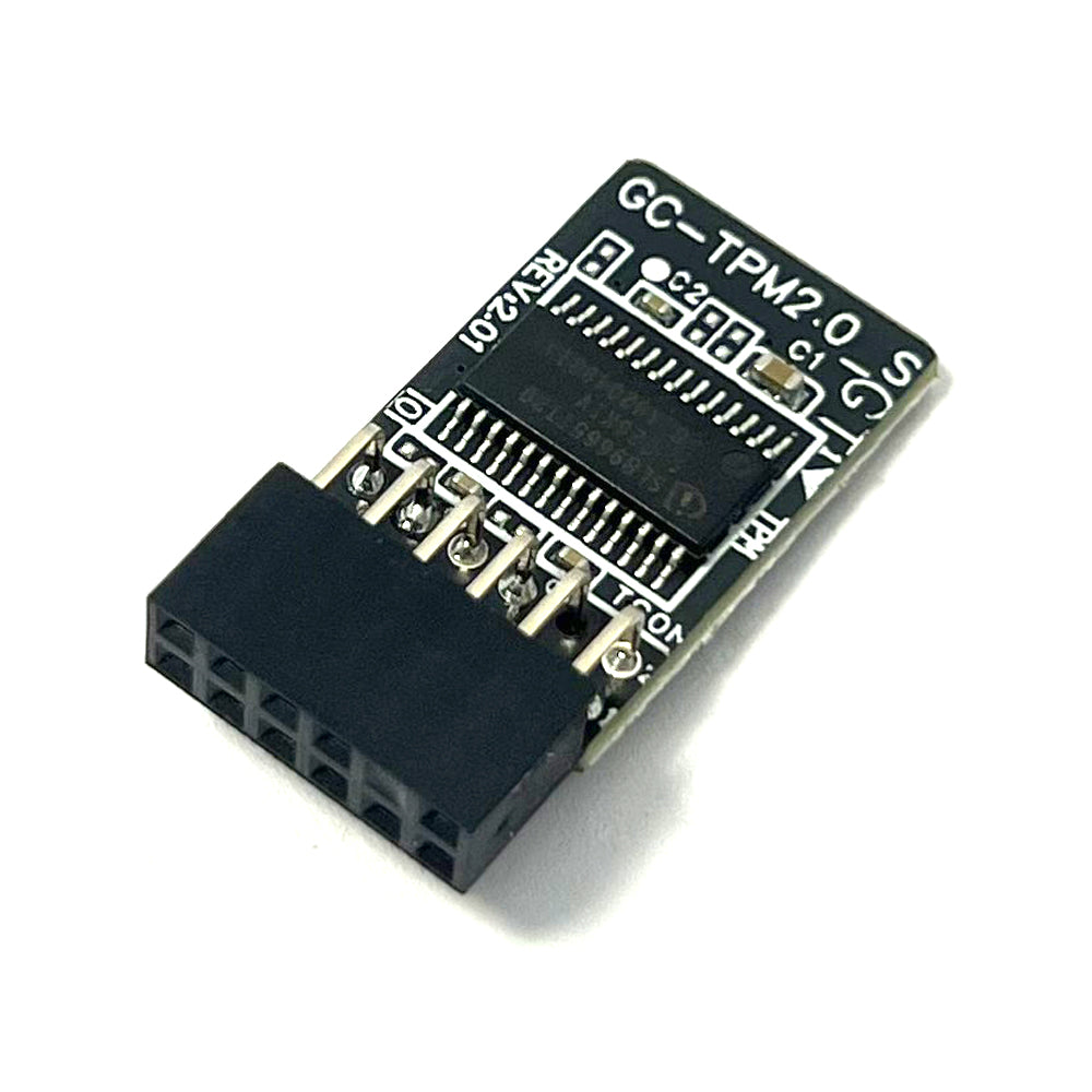 For GIGABYTE B550I PRO AX GC-TPM2.0_S (12pin-1)  LPC Security Module SLB9665